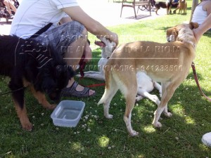 1533891_705735596239649_6831965091390851188_n