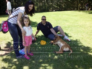 21004_705735376239671_2599396126106215576_n