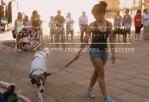 11650846_10205643652905559_967242376_n