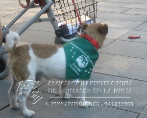 11651307_10205643653265568_1748074553_n