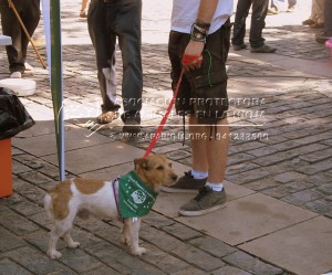 11652013_10205643643065313_390276953_n