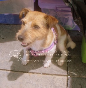 11652229_10205643649265468_1976053973_n