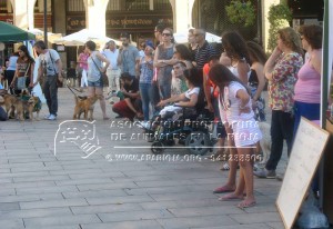 11657278_10205643651425522_374146835_n