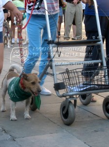 11667996_10205643653305569_1108169355_n