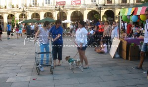 11705866_10205643653505574_2137025511_o