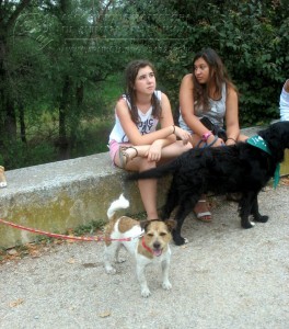 10410654_952353564785314_598856737405145134_n