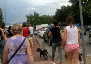 11059551_952352858118718_1470463530215451279_n