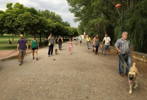 11061664_952354928118511_876360790597069988_n