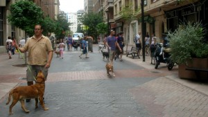 11143393_952351981452139_3140777244272660449_n