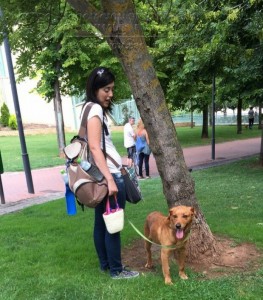 11143586_952354668118537_2398838603317144535_n