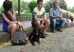 11178218_952355321451805_5078405557850472458_n