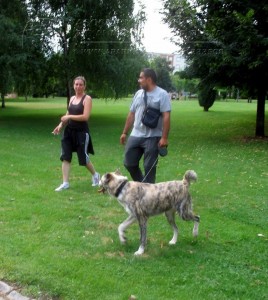 11187166_952353054785365_2884051716174029637_o