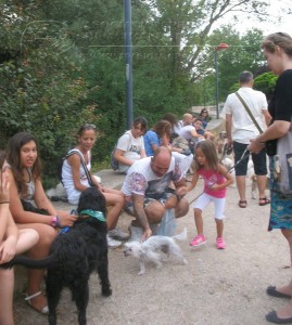 11209341_952353424785328_8395939879725367434_n