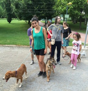 11230978_952355044785166_360942839423410831_n