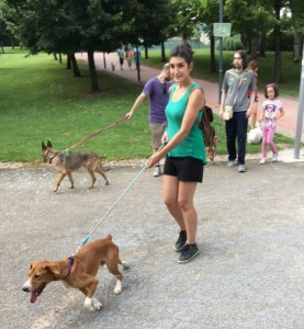 11264986_952354874785183_6928093302727524180_n