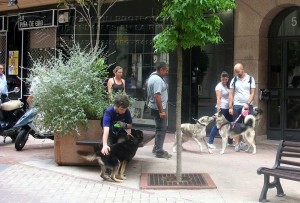 11667318_952352148118789_8014719021031645114_n