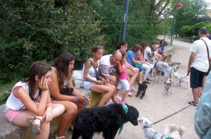 11737858_952353228118681_4823181836657747355_n