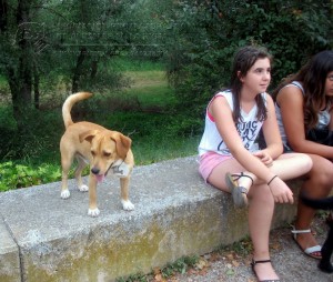 11737917_952353101452027_963726136026654696_n