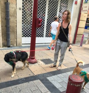 11742654_952354604785210_8996246122662585786_n