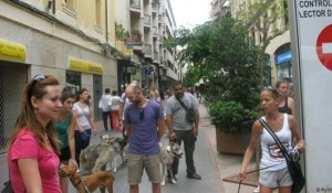 11742753_952352081452129_197407933315649840_n