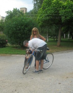 11742794_952353414785329_718802901337384998_n