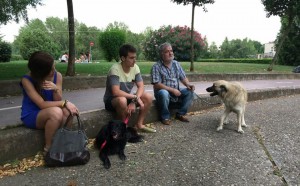 11742822_952355234785147_7139750160482536413_n