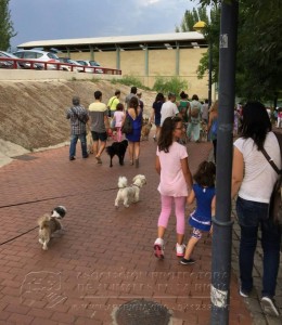 11745356_952354664785204_160947926409614092_n