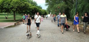 11745452_952354948118509_1775795425704497383_n