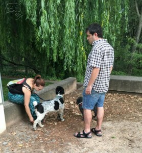 11745577_952355051451832_472132935742672835_n