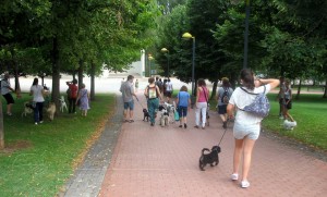 11745929_952352964785374_8017744786696981202_n