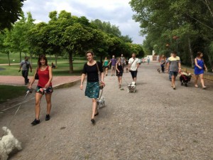 11745930_952354984785172_986725939693225362_n