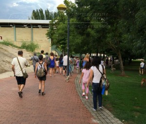 11751426_952354728118531_6585665912832765279_n