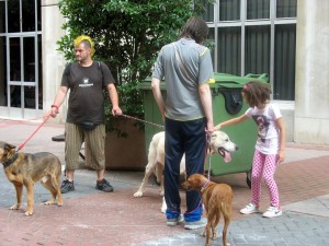 11751841_952351474785523_7855086170177252932_n