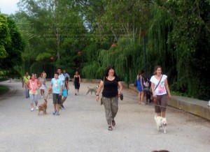 11752016_952353498118654_3481027799276100397_n