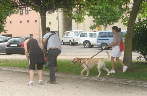 11752345_952353658118638_7510819877332962383_n