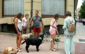 11755634_952352244785446_4019961636782830561_n