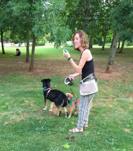 11755744_952354731451864_3495773298569217209_n