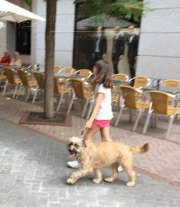 11755859_952354391451898_7988735417014550937_n