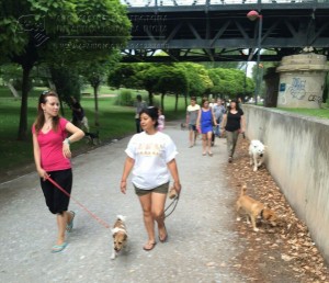 11755913_952354981451839_8334295714430080121_n