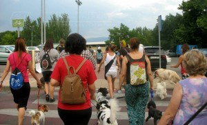 11755918_952352754785395_1204107018750657179_n