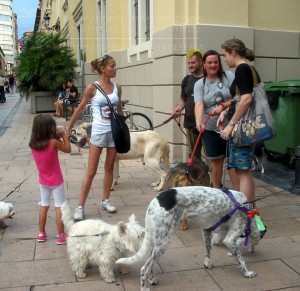 11760051_952352601452077_4762154339921986281_n