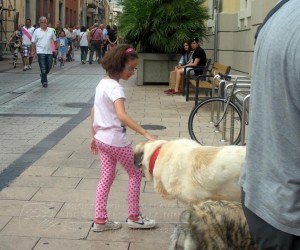 11760142_952352598118744_5597304622811167593_n