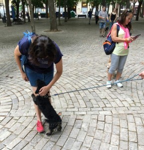 11760245_952354481451889_987471654797549017_n