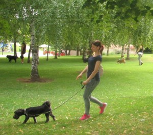 11781797_952352944785376_8629841510120875878_n