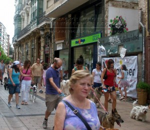 11796403_952352408118763_3039512102783025739_n