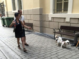 11796466_952354601451877_878643191233483609_n