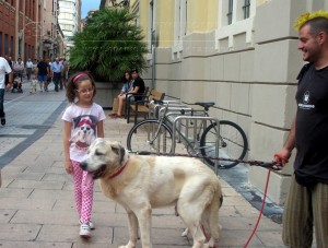 11800045_952352748118729_7646606093092146235_n