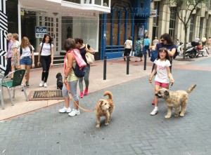 11800424_952354484785222_3732756107710529620_n