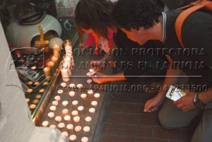 11889676_961456873874983_8248055305259986002_n