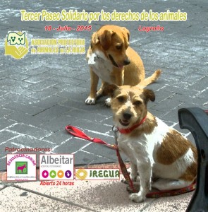 17001_952382511449086_5554353510066244530_n